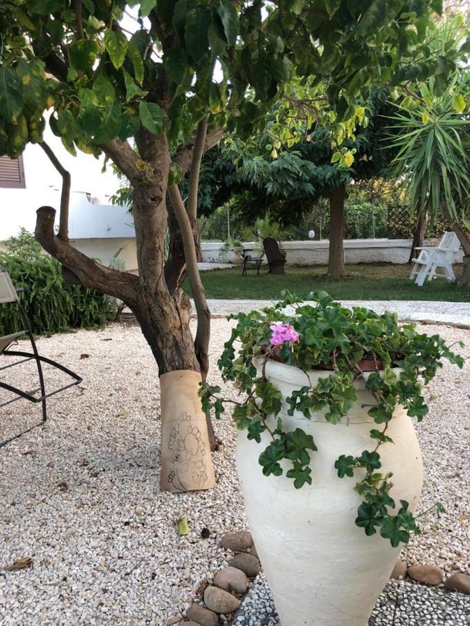 Il Gelso Nella Valle Agrigento Ngoại thất bức ảnh